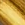 Gilded Royalty Gold